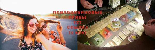спайс Баксан