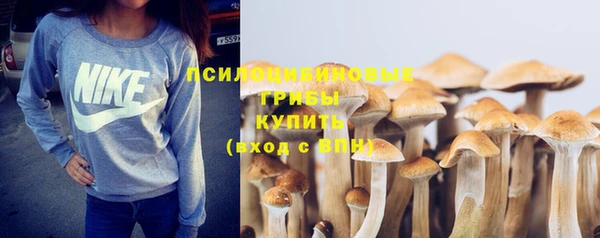 ешки Белоозёрский