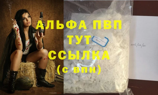 спайс Баксан