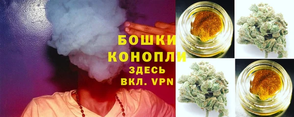 сатива Балабаново
