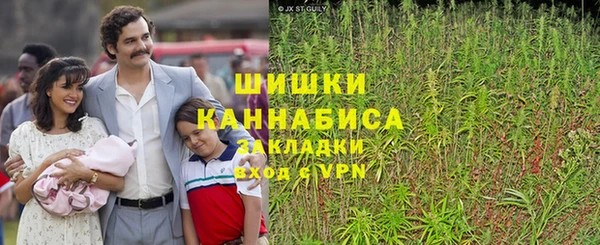 спайс Баксан
