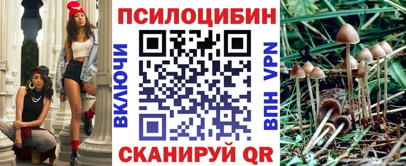 Галлюциногенные грибы Cubensis  Краснокаменск 